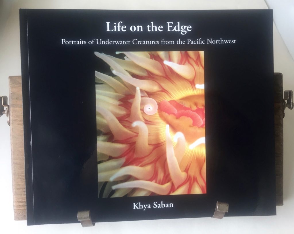Cover of Khya Saban's new self-published book, Life On the Edge